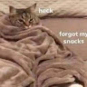 Meet your Posher, Gabriel